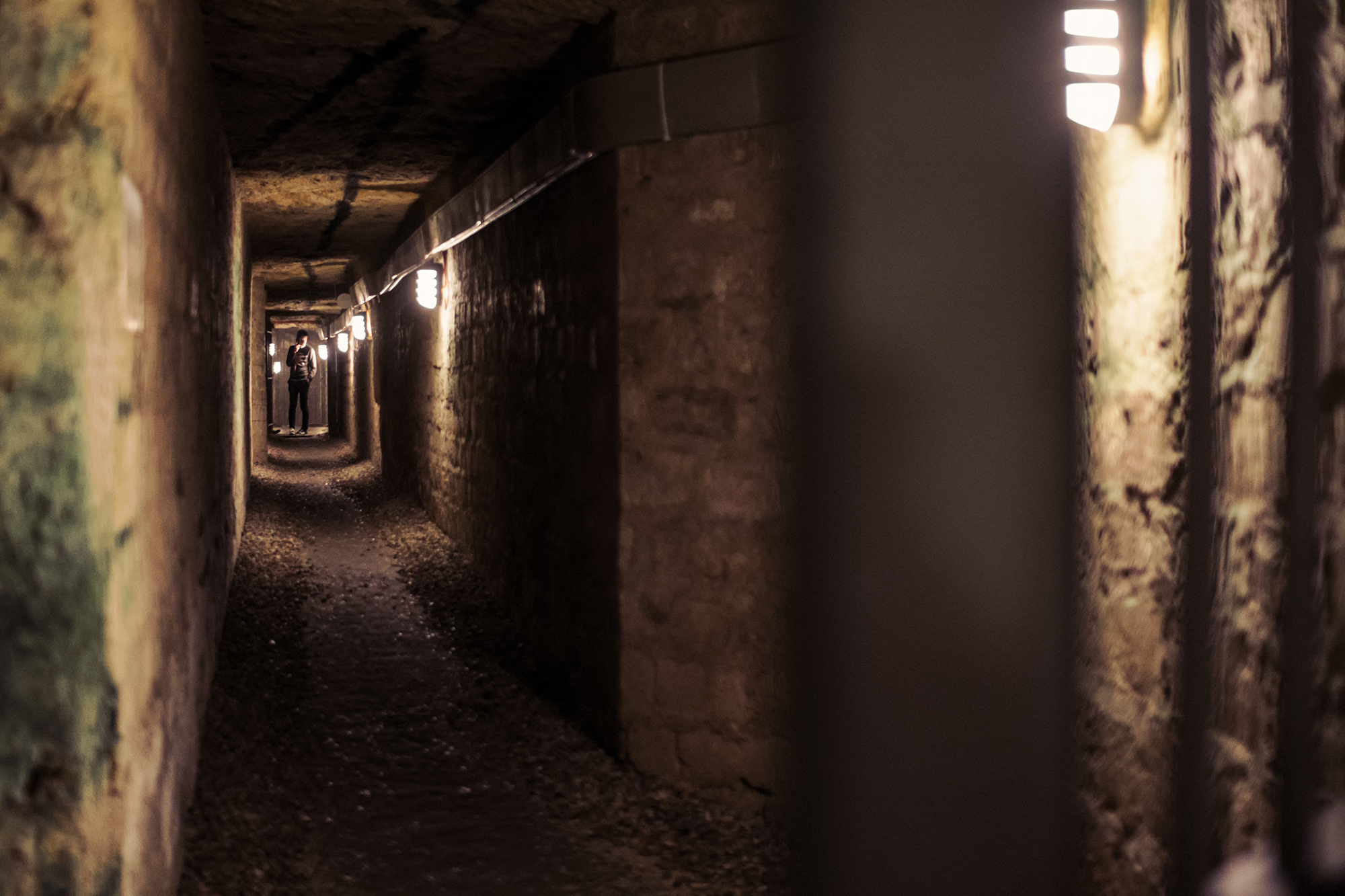 Skip-the-Line Paris Catacombs Special Access Tour in Small Group - Alojamientos en Paris