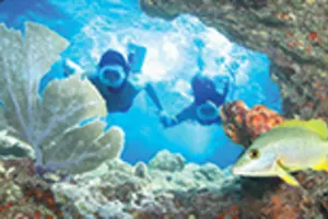 Fury Snorkel 9:30 am