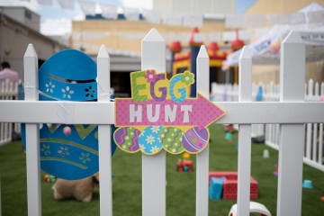 Things to do over the Easter weekend in Cape Town