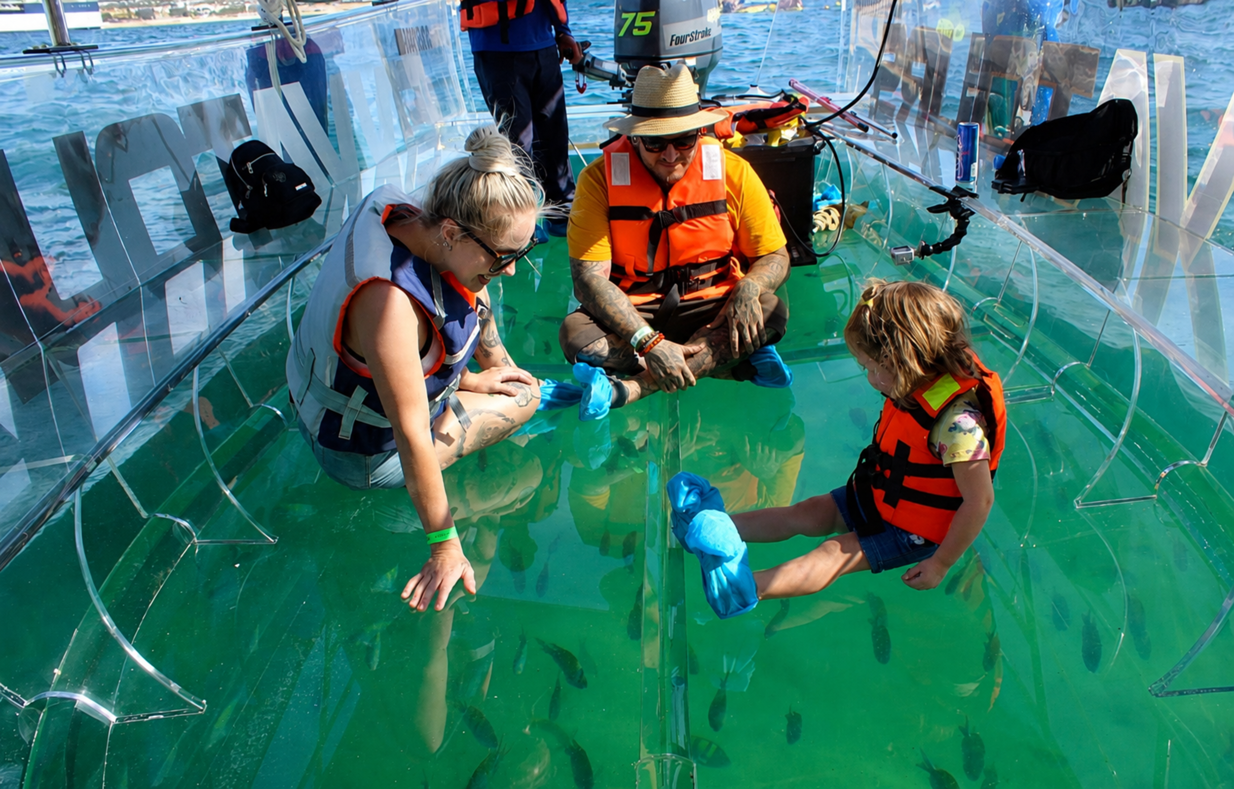 Clear Boat Ride in Los Cabos with Pickup - Accommodations in Los Cabos