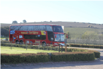 Cape Town’s top wine farms