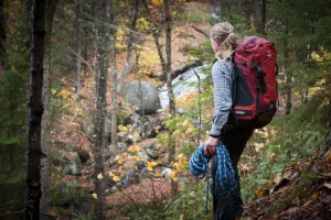 Wilderness Survival Hike - Full Day in French