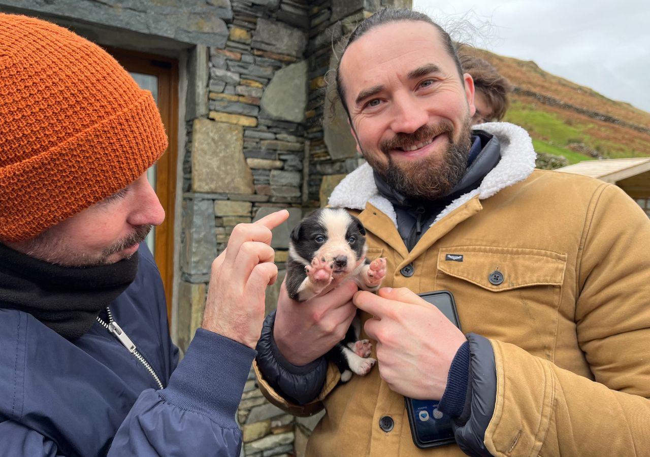 Tour del Connemara da Galway con Abbazia di Kylemore e dimostrazione di cani da pastore - Alloggi in Galway