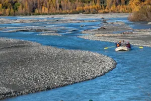 Chilkat Bald Eagle Preserve Rafting - From Skagway