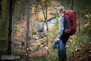Stage de Survie en Forêt - 3 jours - En Français