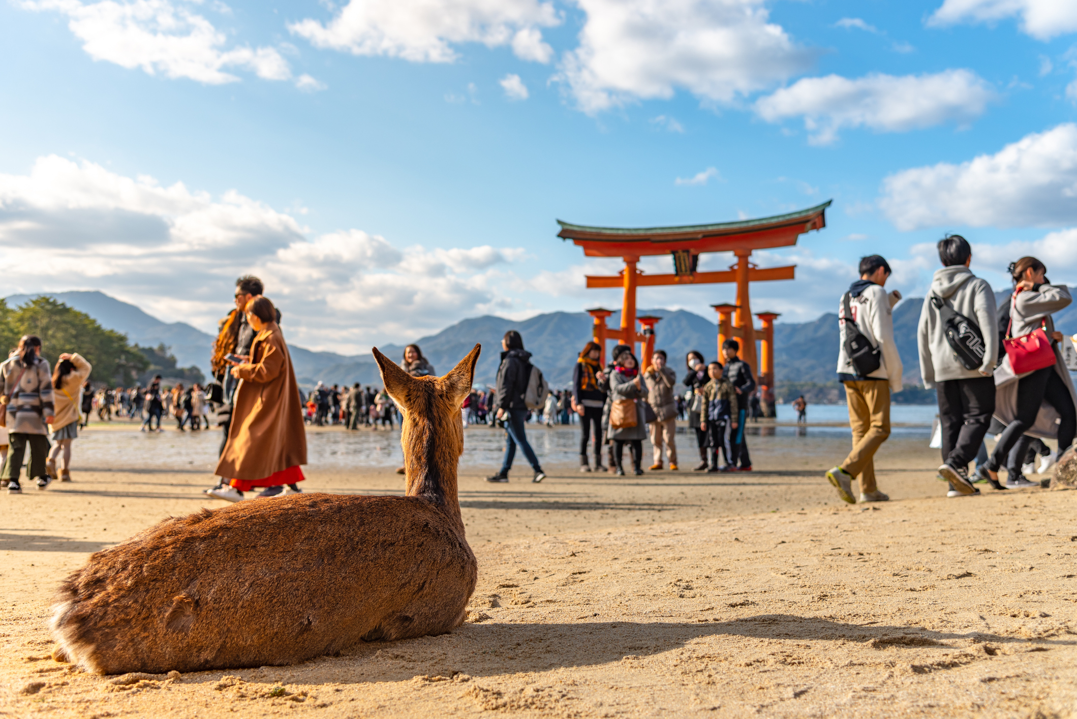 Day Trip to Hiroshima & Miyajima with Itsukushima Shrine & Ferry from Tokyo