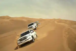 Tour Dubai Morning Desert Safari with Dune Bashing & Breakfast