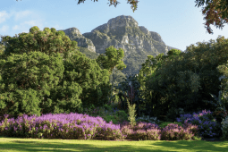 Recommendation: Have a glorious garden party
