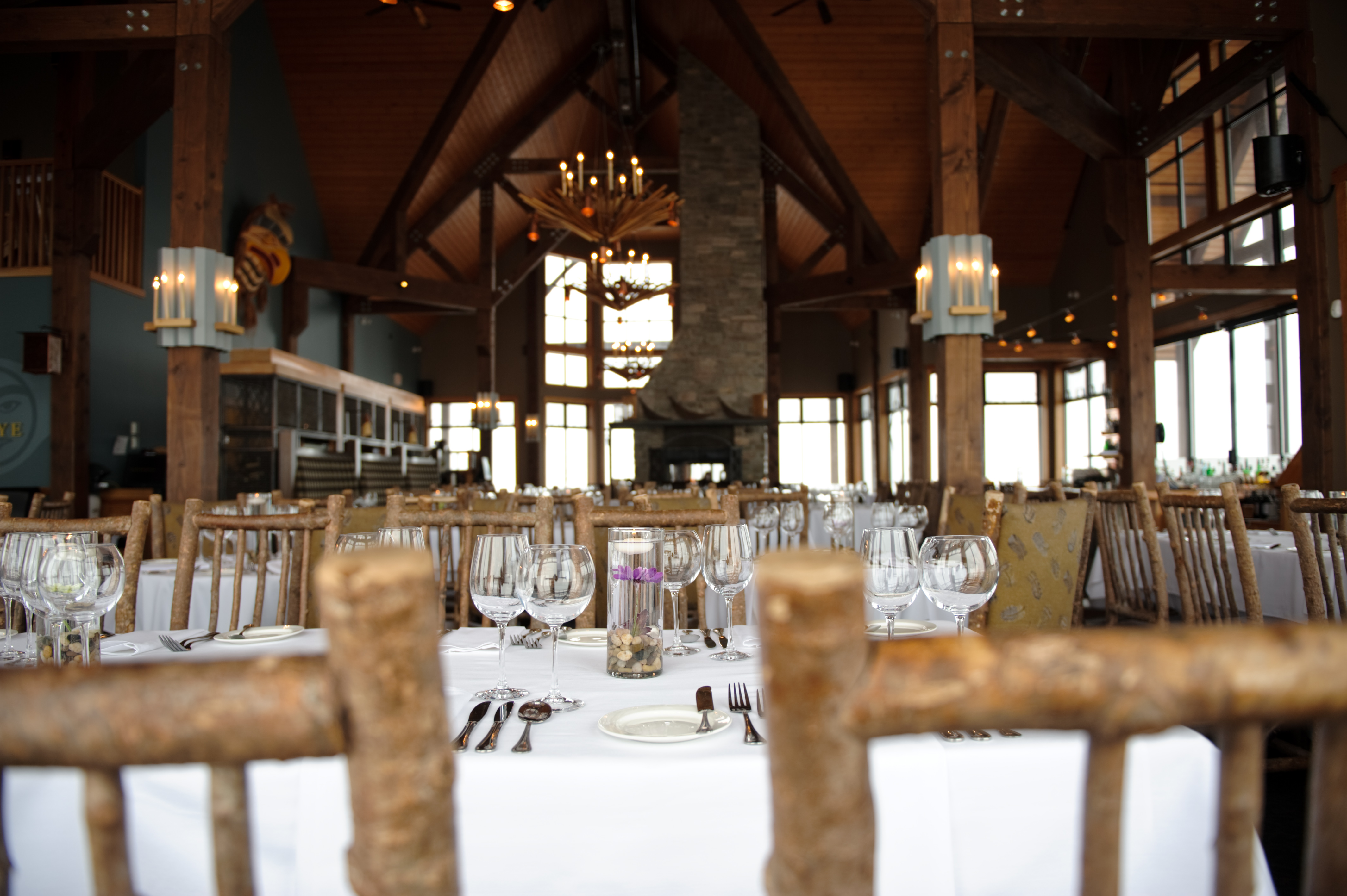 Discover Grizzly Bears with Lunch and Gondola Ticket  in Small Group - Alloggi in Banff