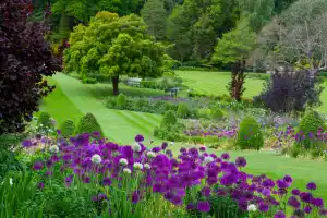 RHS Garden Harlow Carr