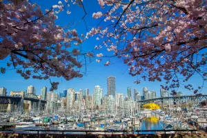 1-Day Vancouver City & Dragon Boat Tour