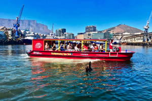 V&A Harbour & Seal Cruise