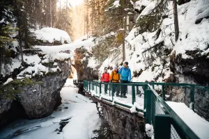 Johnston Canyon Icewalk®