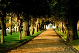 Recommendation: Groot Constantia – wine estate tour and tasting (stop 25)