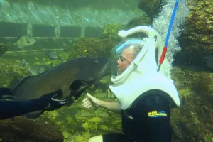 Miami Seaquarium Attraction Ticket