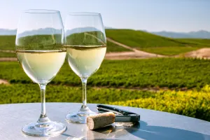 Napa and Sonoma Valley Wine Country Tour