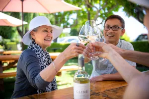 Redwoods and California Wine Country Tour