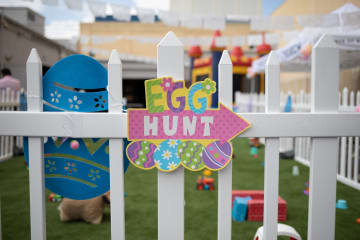 Things to do over the Easter weekend in Joburg