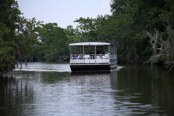 A group on the New Orleans Covered Pontoon Swamp Tour