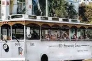 Old Savannah Historic Overview Tour