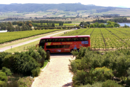 Recommendation: What to know about the live-guided Cape Winelands tour to Franschhoek and Stellenbosch