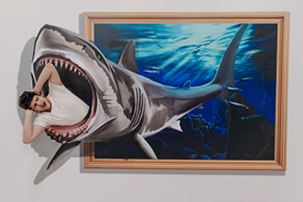 3D Fun Art Museum