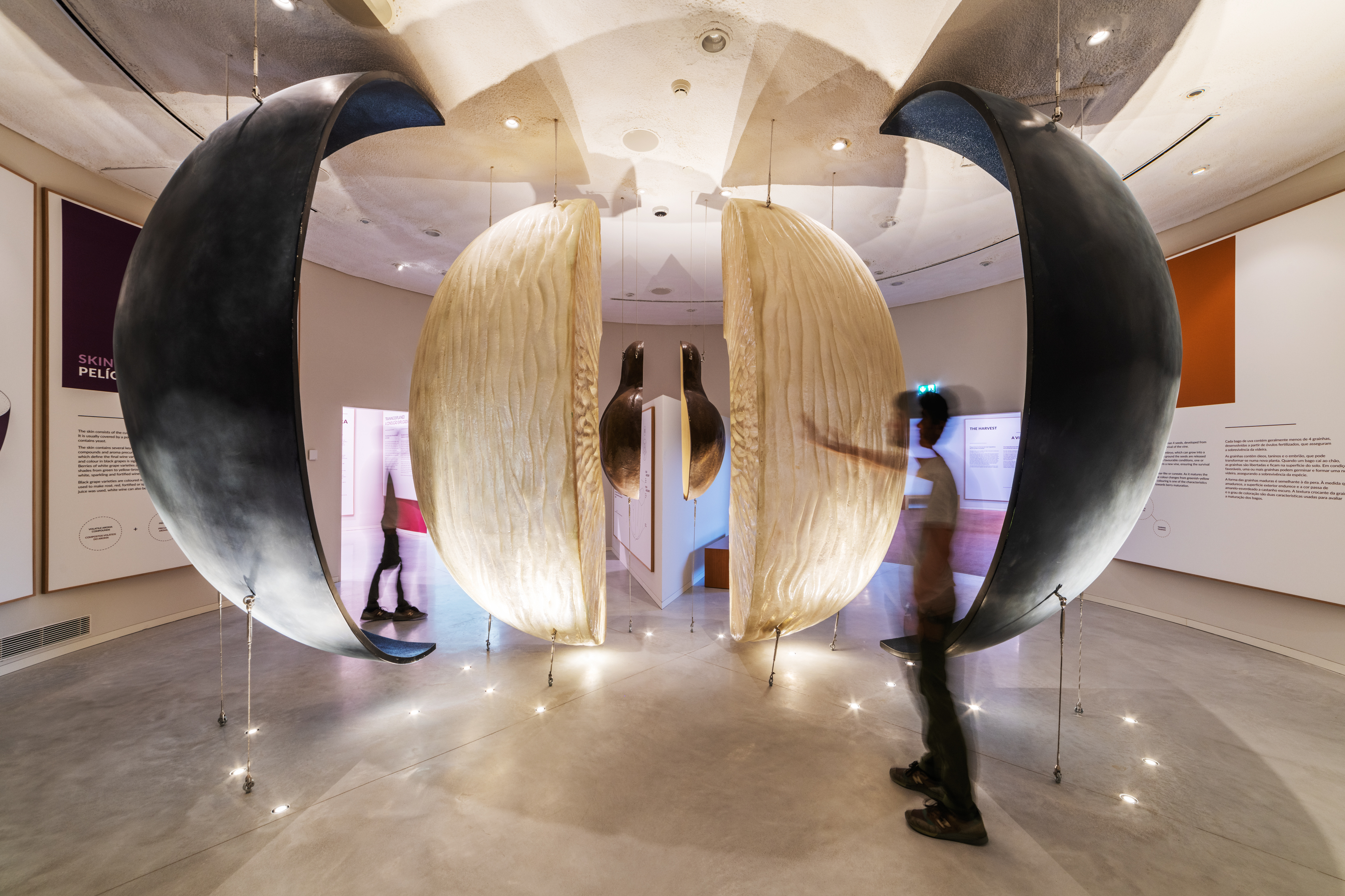 WOW - The Wine Experience: