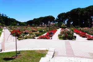 Rose Garden, Parque del Oeste