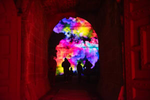 Credit: Richard Gardener