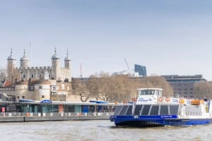 Lunch Cruise on the River Thames