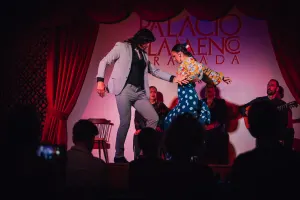 Show at Palacio Flamenco in Granada