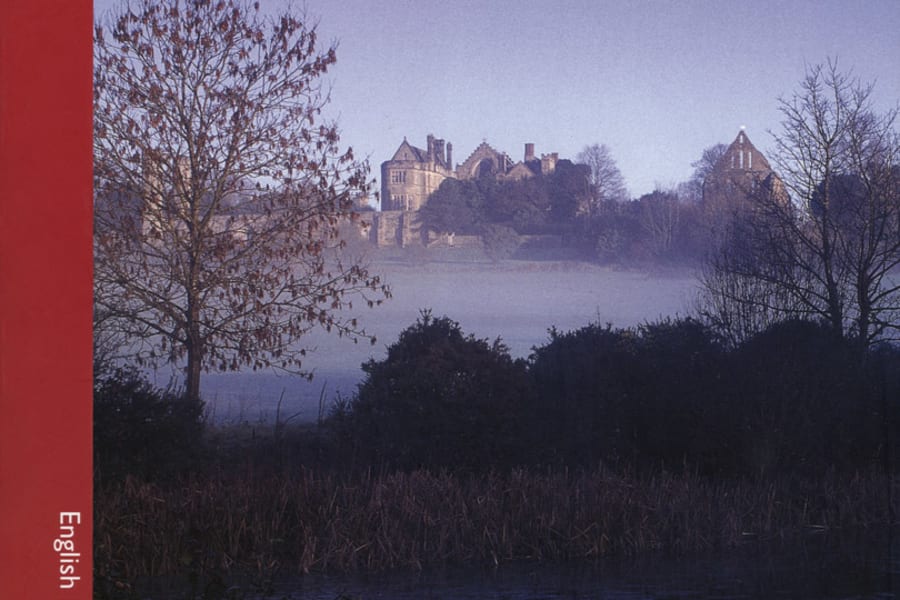 Main Image