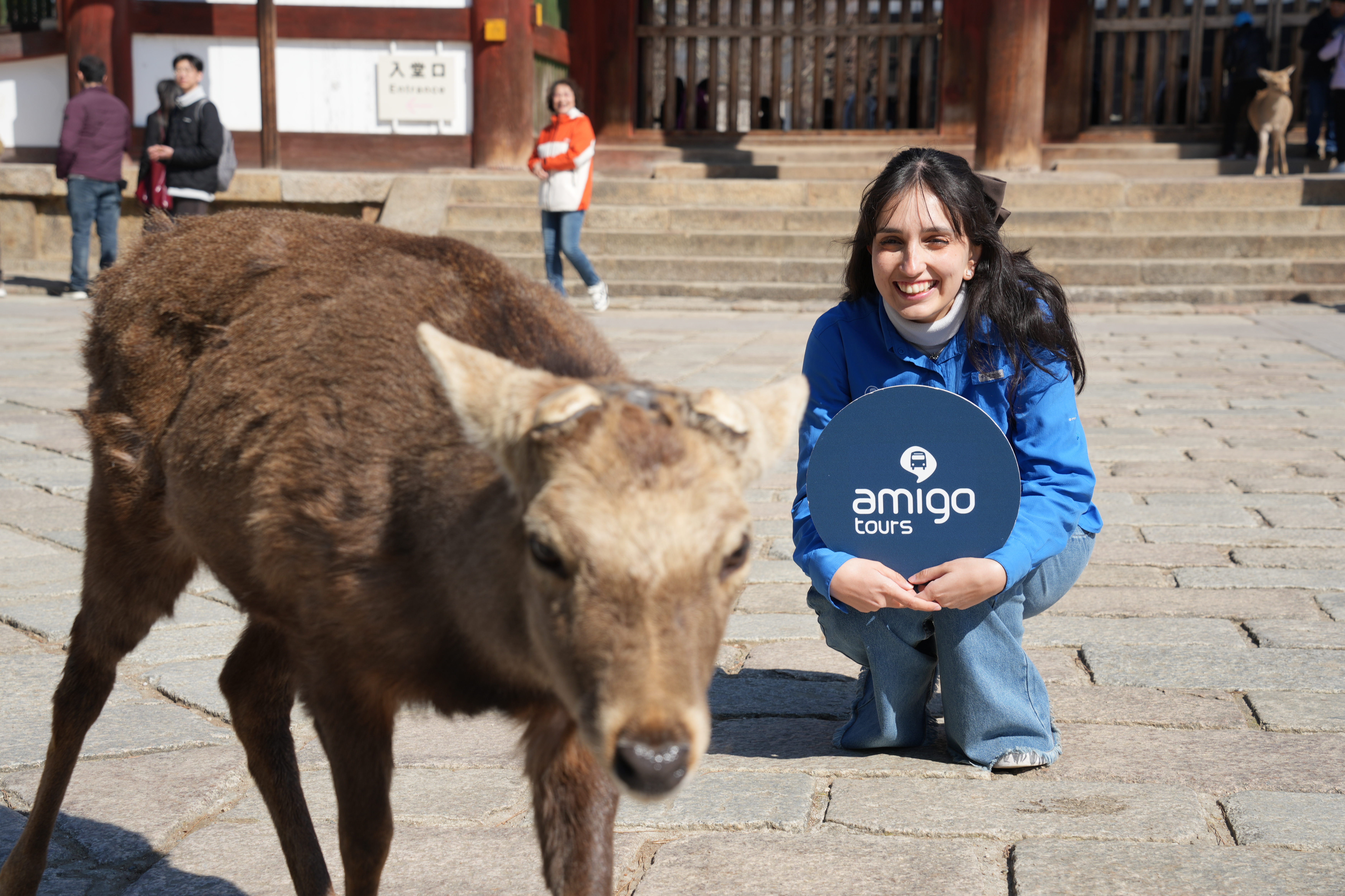 Excursión de un día al parque de Nara, Osaka y Kobe desde Kioto