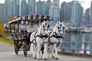 Vancouver Stanley Park Horse-Drawn Tours - 1 Hour Tour