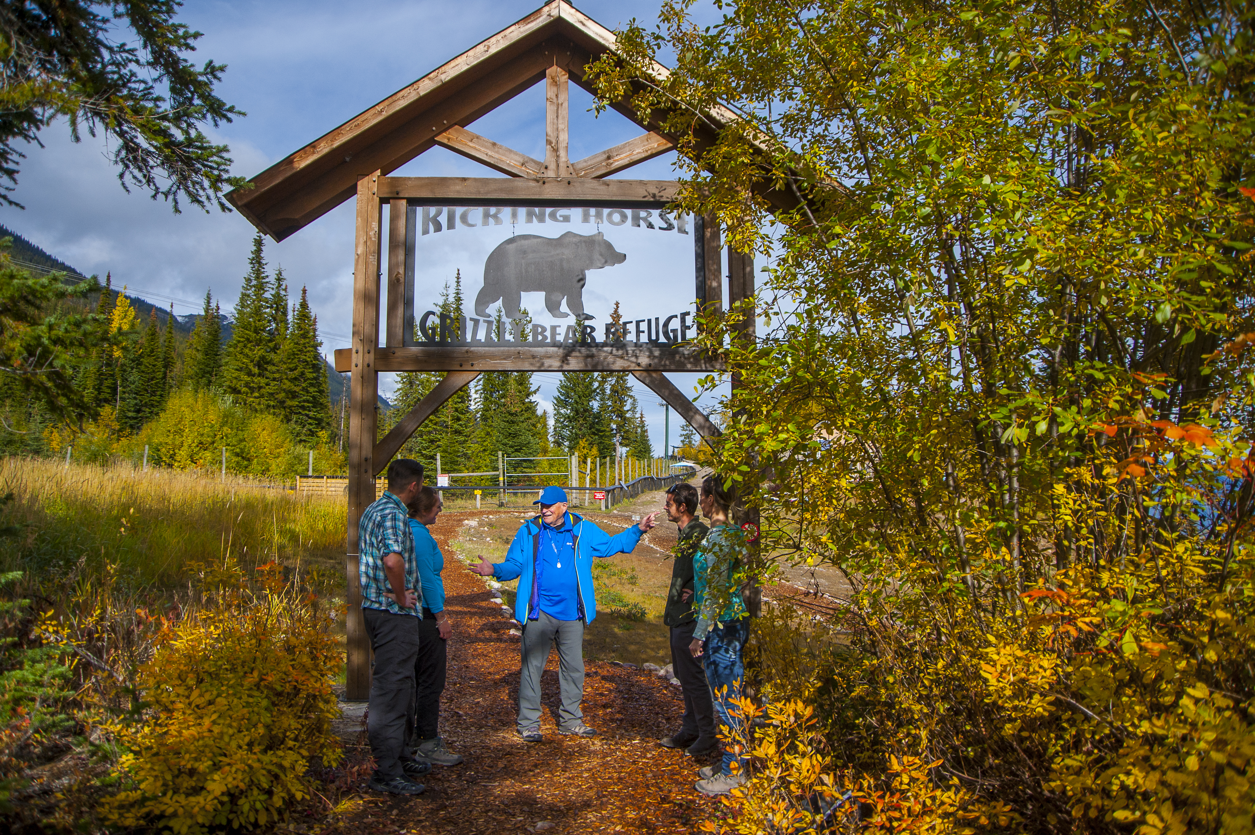 Discover Grizzly Bears with Lunch and Gondola Ticket  in Small Group - Alloggi in Banff