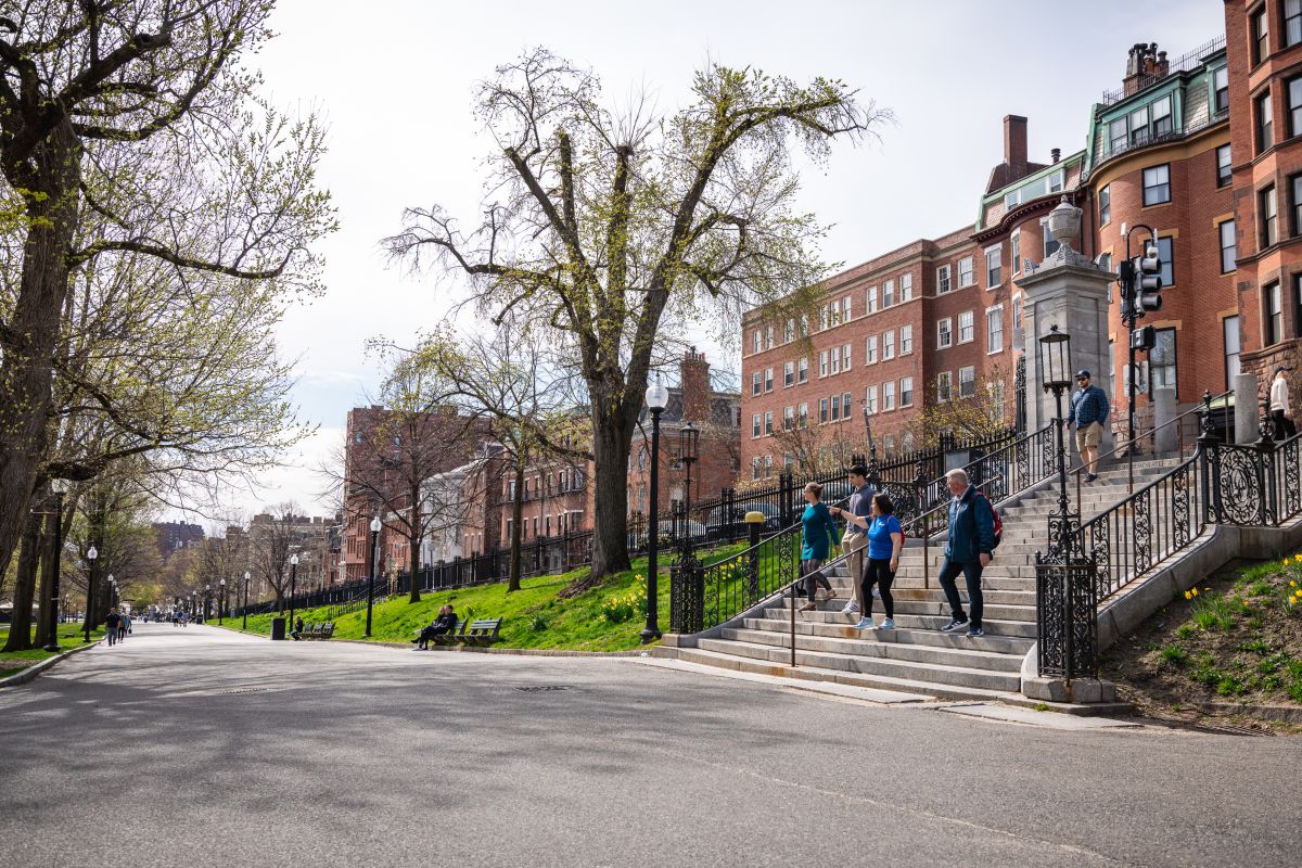 Beacon Hill History + Scenic Photo Walking Tour (Small Group)