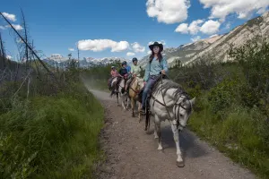 Bow Valley Loop Ride 3hr