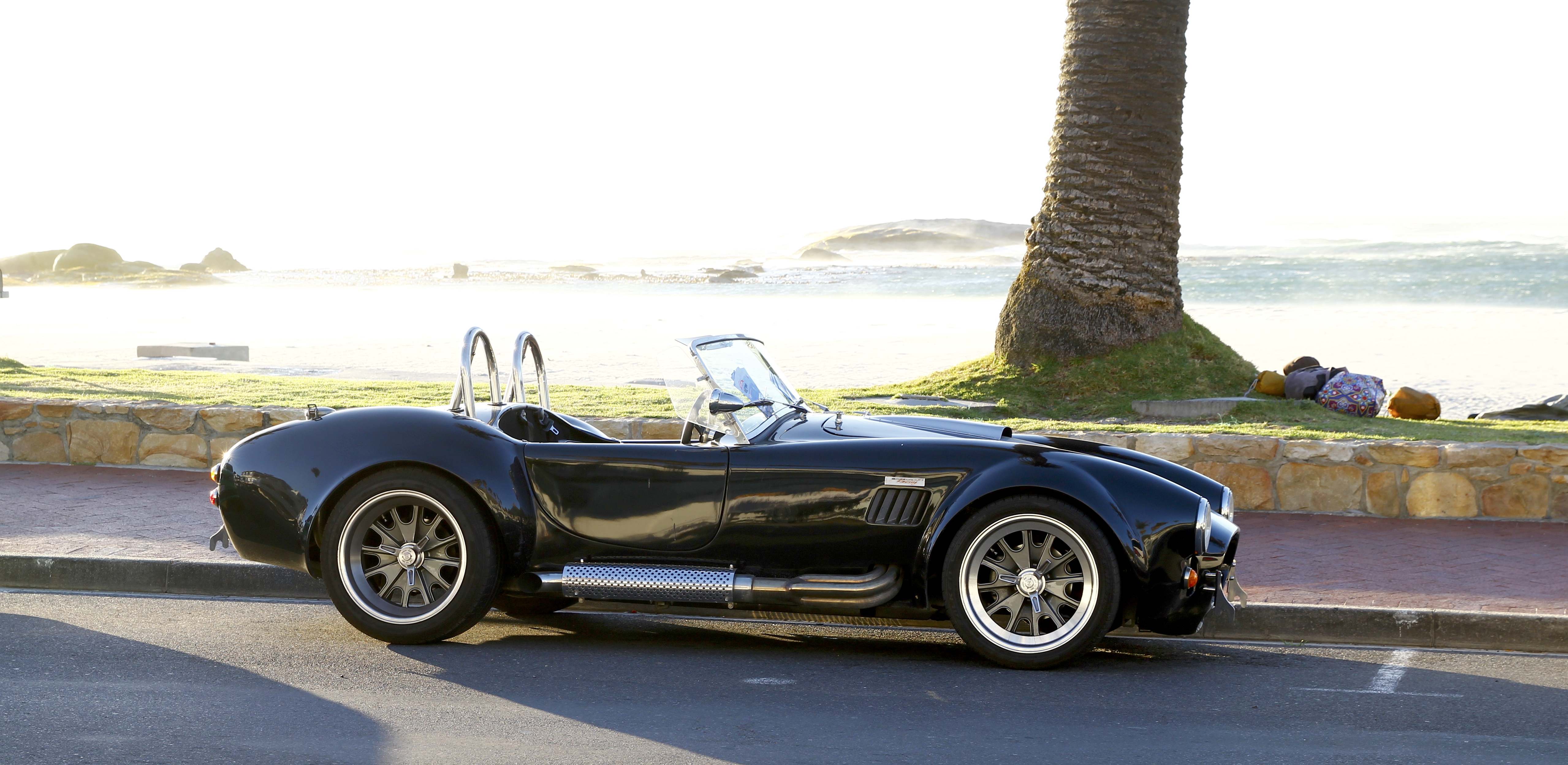 Cobra Half-day experience