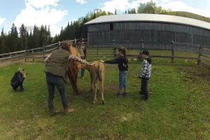 Horseback riding for kids