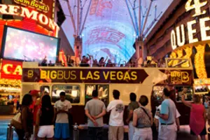 Big Bus Las Vegas 48-hours Hop-on, Hop-off Tour with Night Tour