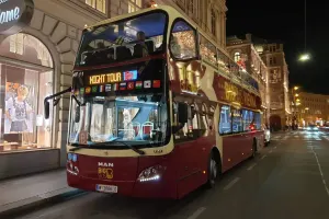 Vienna Live Guided Evening Tour