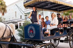 Daytime Group Carriage Tour - Residential District