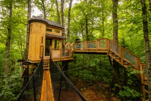 Treehouses