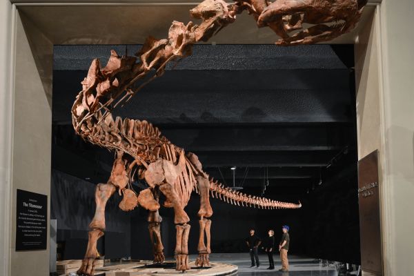Titanosaur largest dinosaur ever discovered