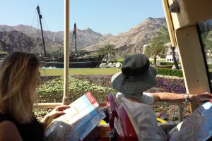 Big Bus Muscat 24-Hour Hop-on, Hop-off Tour