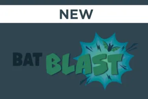 Bat Blast Experience