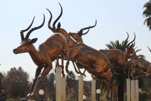 Gold Reef Casino
