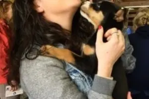 Dog Sled Summer Camp (Juneau)