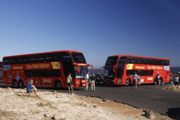 5 #RedBusSA hints and tips to remember