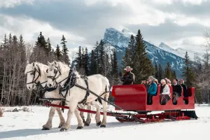 Public Sleigh Ride